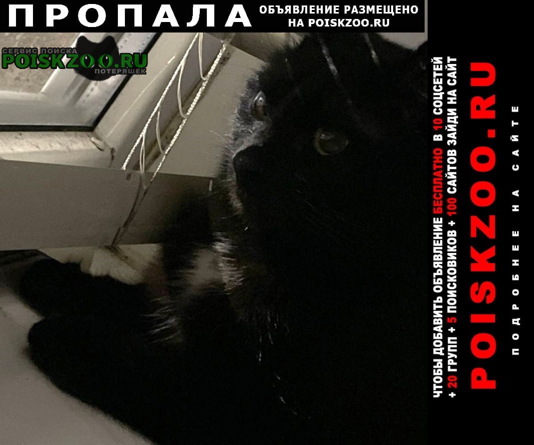 ���� ������ ���