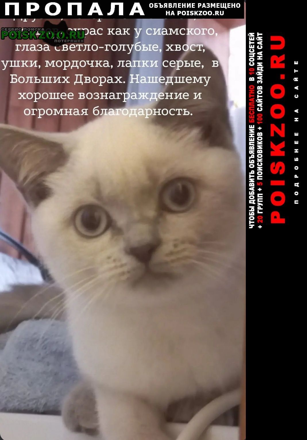 ���� ������� ����� �� ������ ������, ������ ������� ������