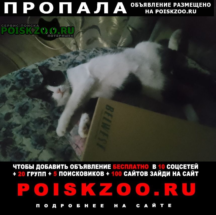 ���� ������ ���