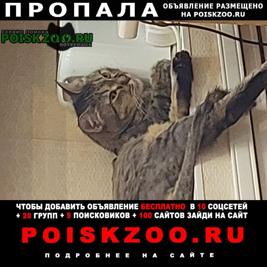 ���� ������� �����