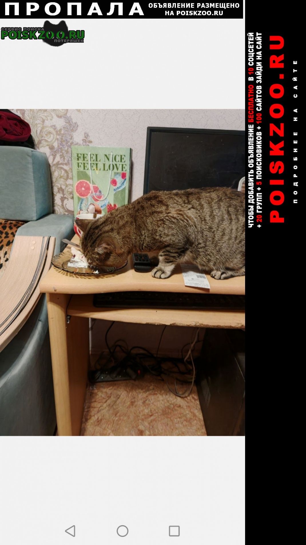 ���� ������ ��� �����. �. �����������, ������