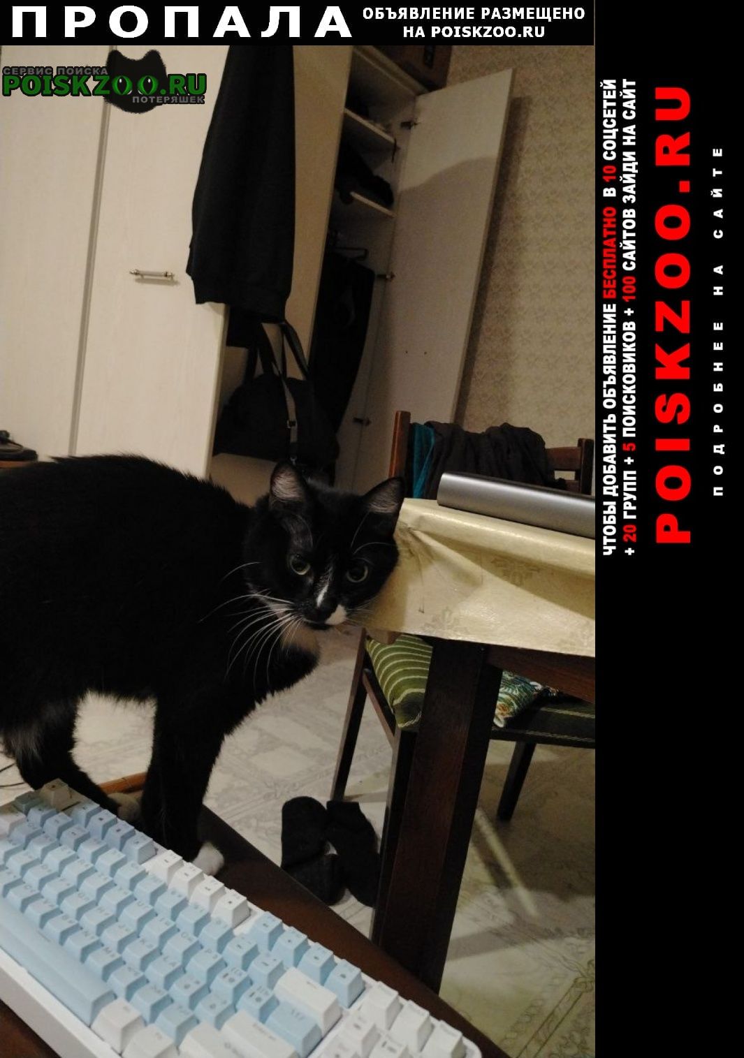 ���� ������� ����� �� ������ 50 ��� ����� 4