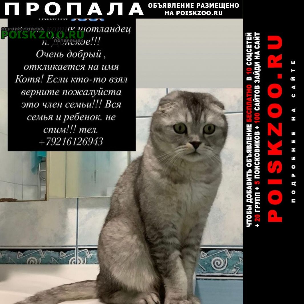 ���� ������ ���