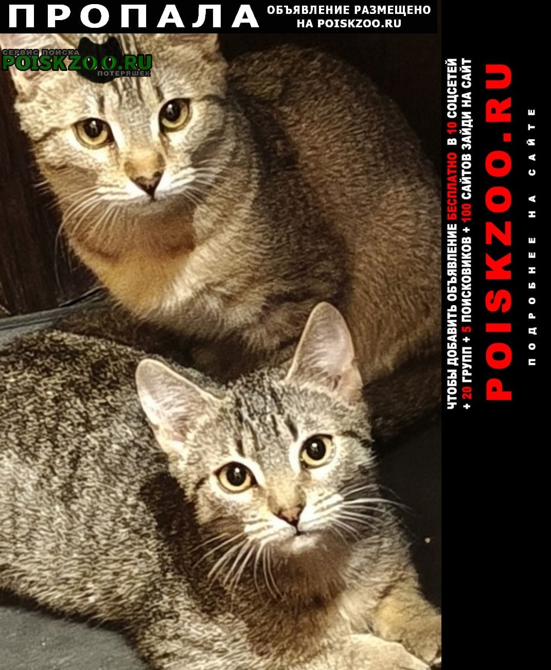 ���� ������ ��� � ������