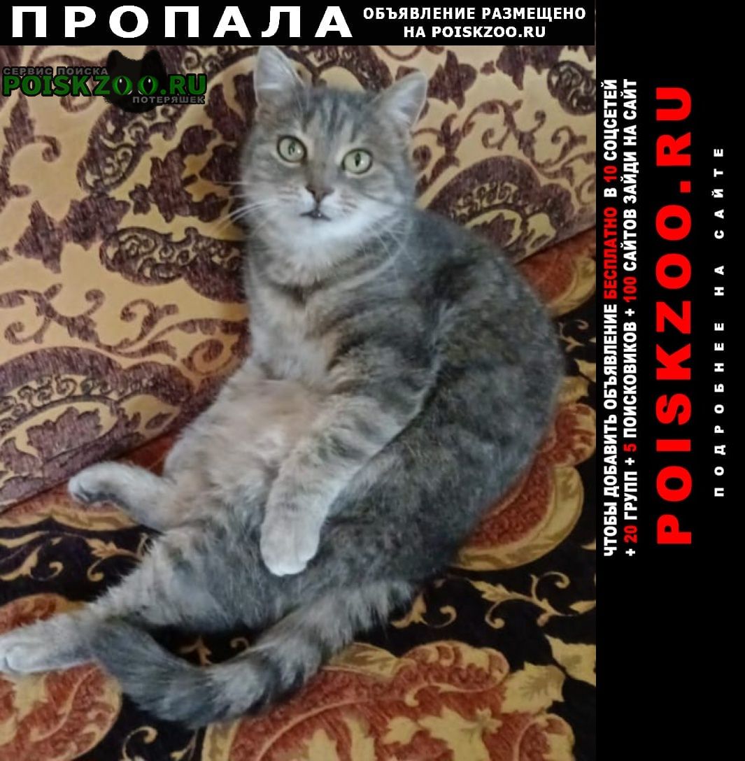 ���� ������� �����