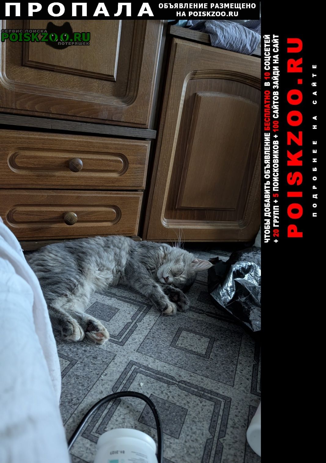 ���� ������� �����