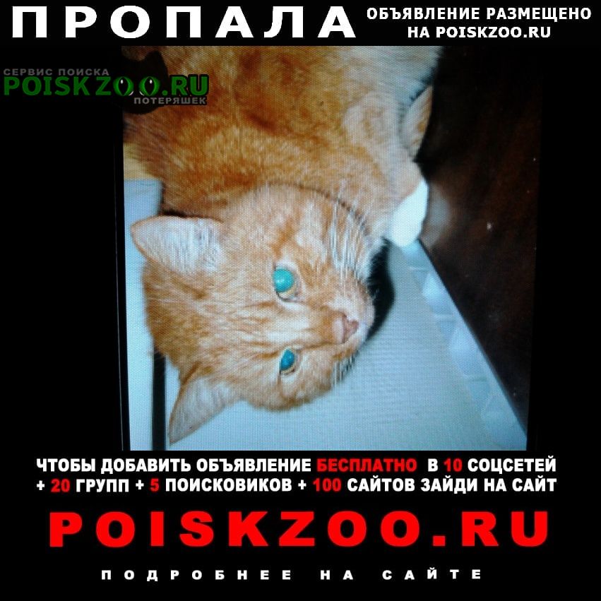 ���� ������ ���