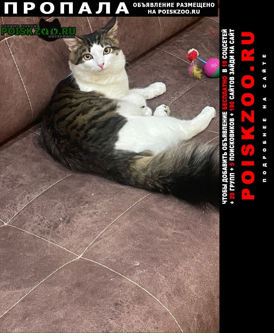 ���� ������ ���, ����� ��������