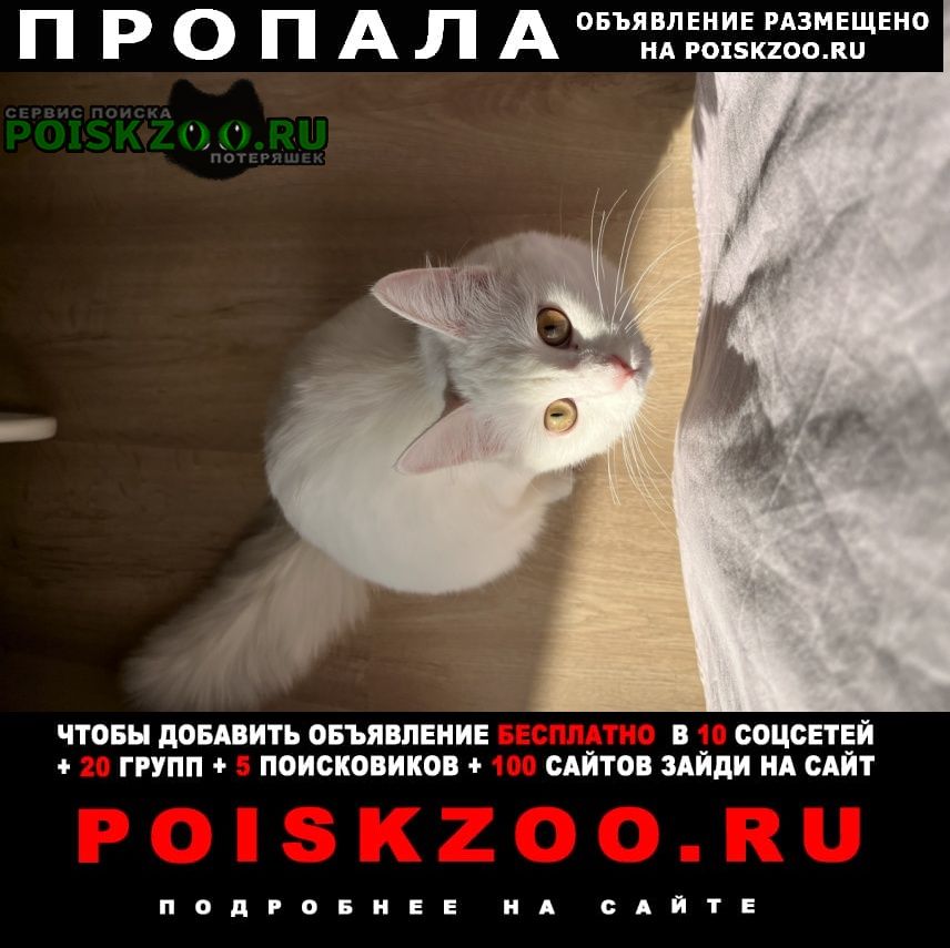 ���� �������� �����