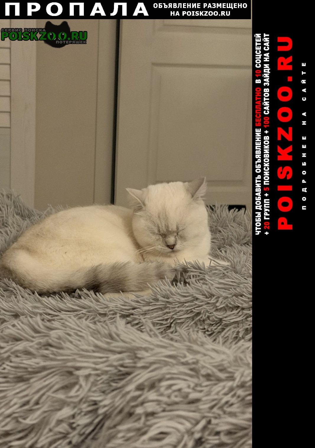 ���� �������� ����� ������� �����