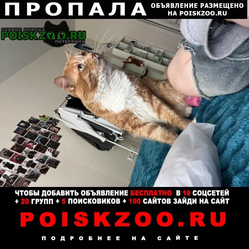 ���� ������ ���