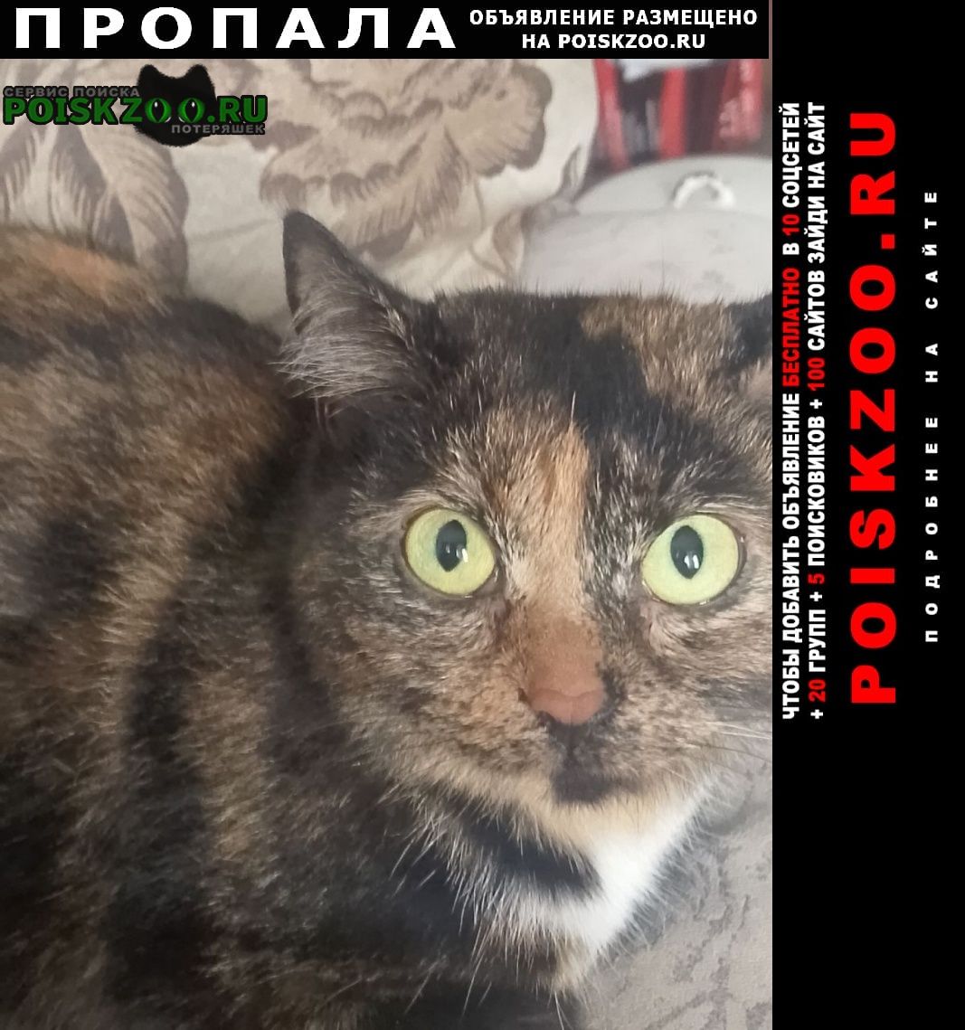 ���� ������� ����� ������� �� ������������� 47.