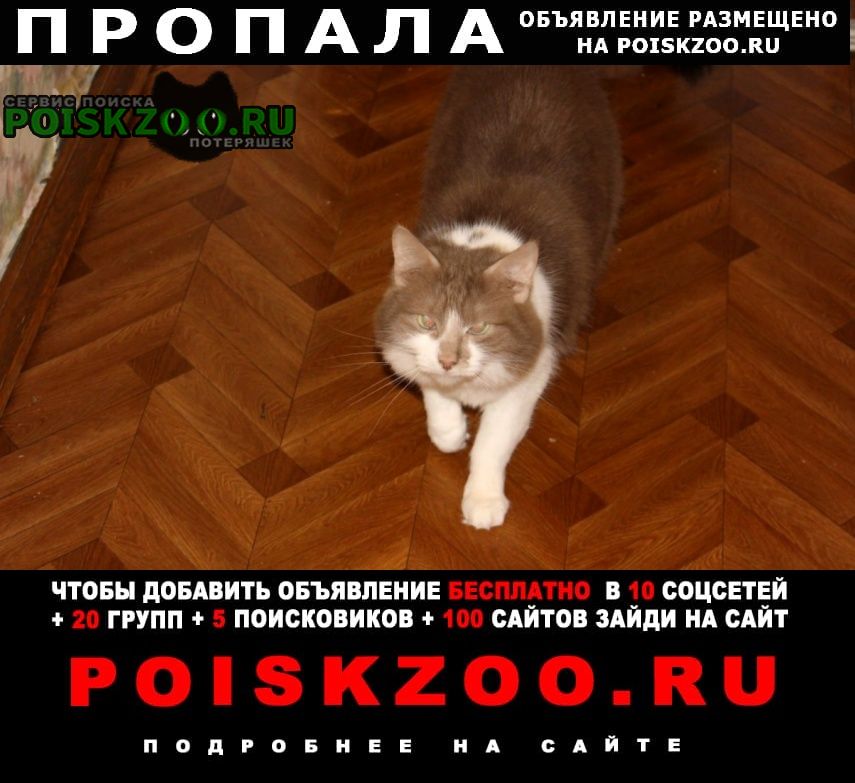 ���� ������� ����� ��������������