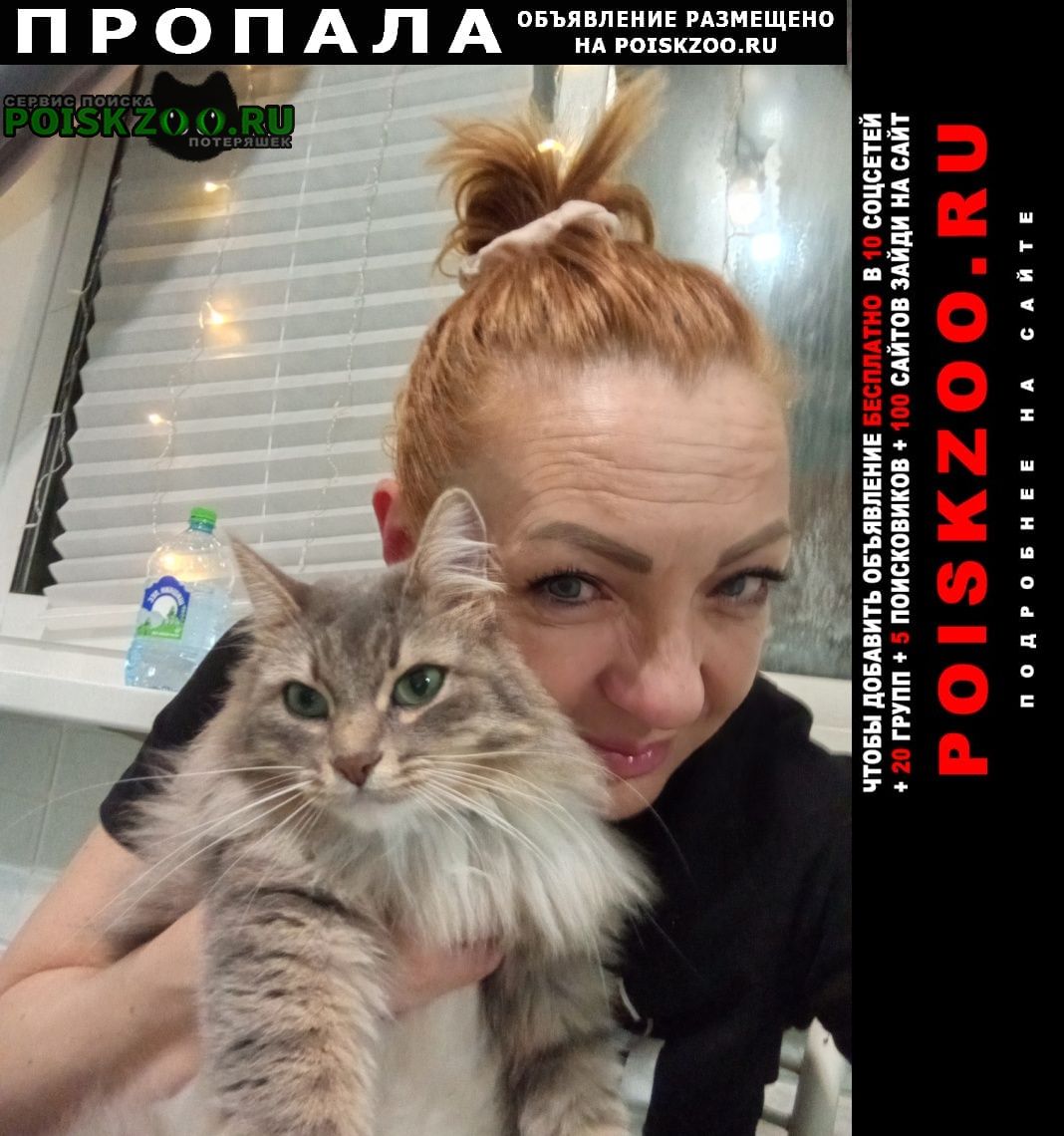 ���� ������� �����