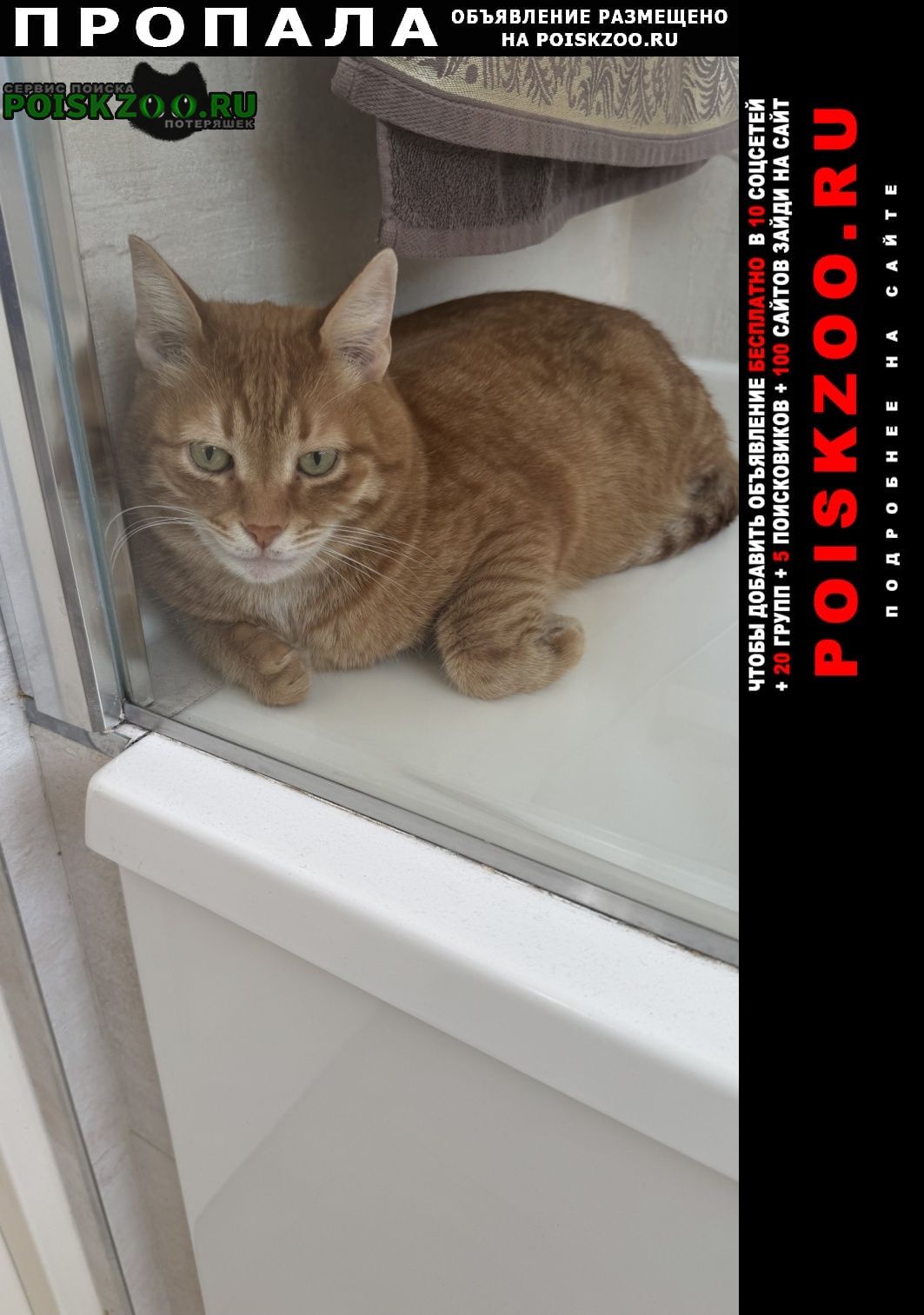 ���� �������� �����