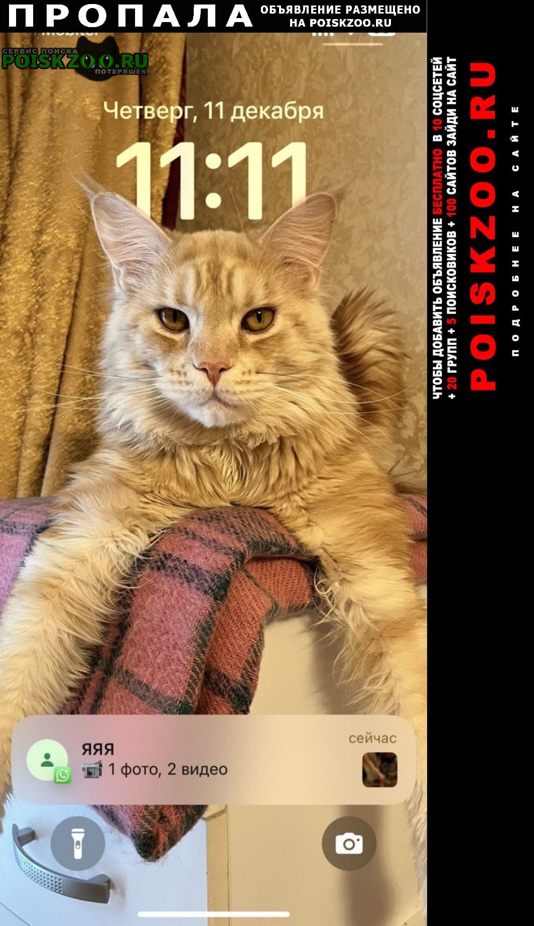 ���� ������ ��� ������