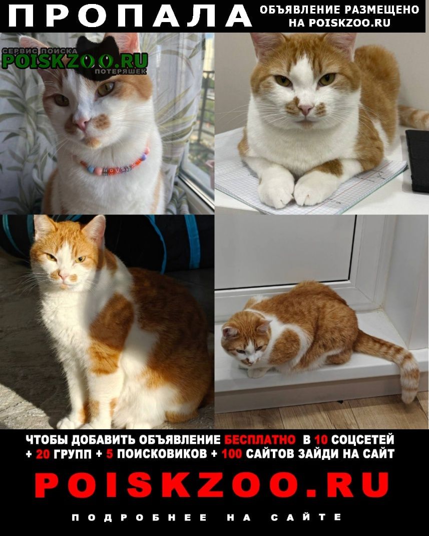 ���� ������ ��� ��������