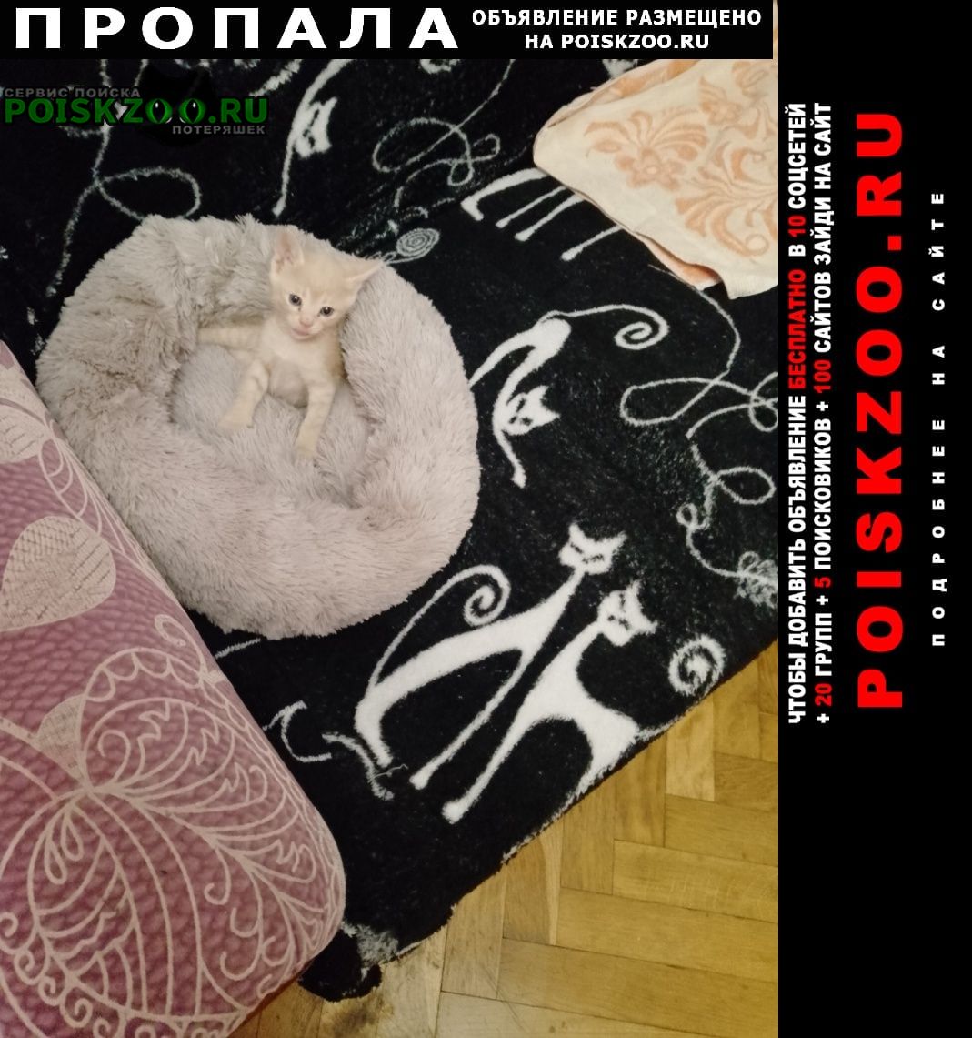 ���� ������ ������