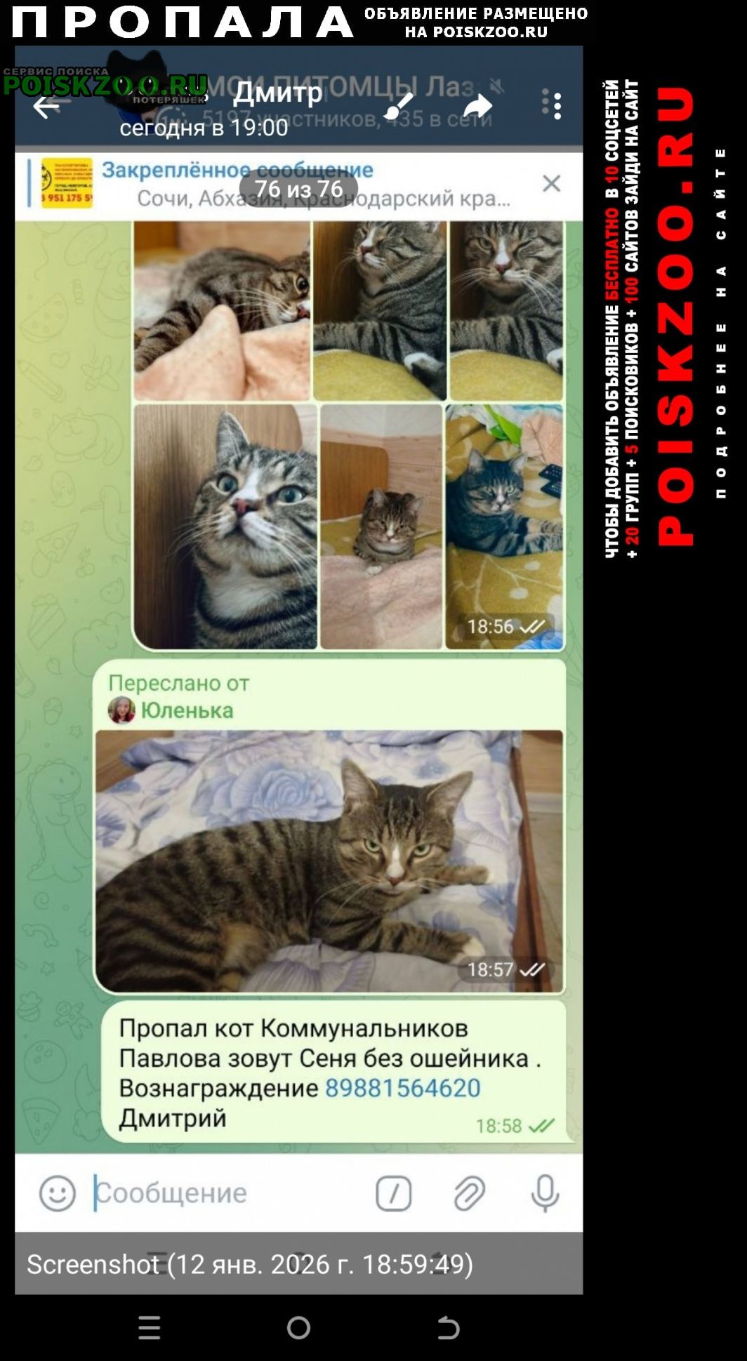 ���� ������ ��� �����������