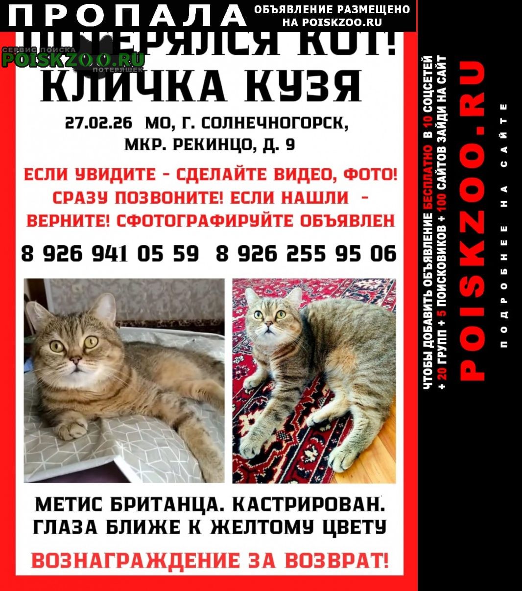 ���� ������ ���