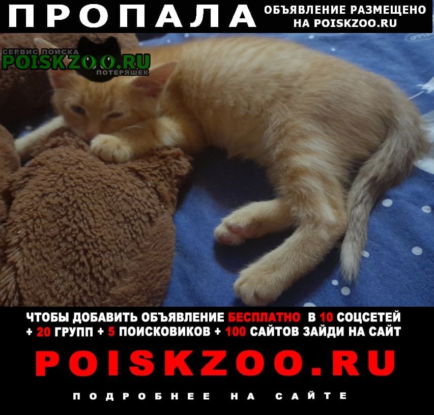 ���� ������ ��� �����.