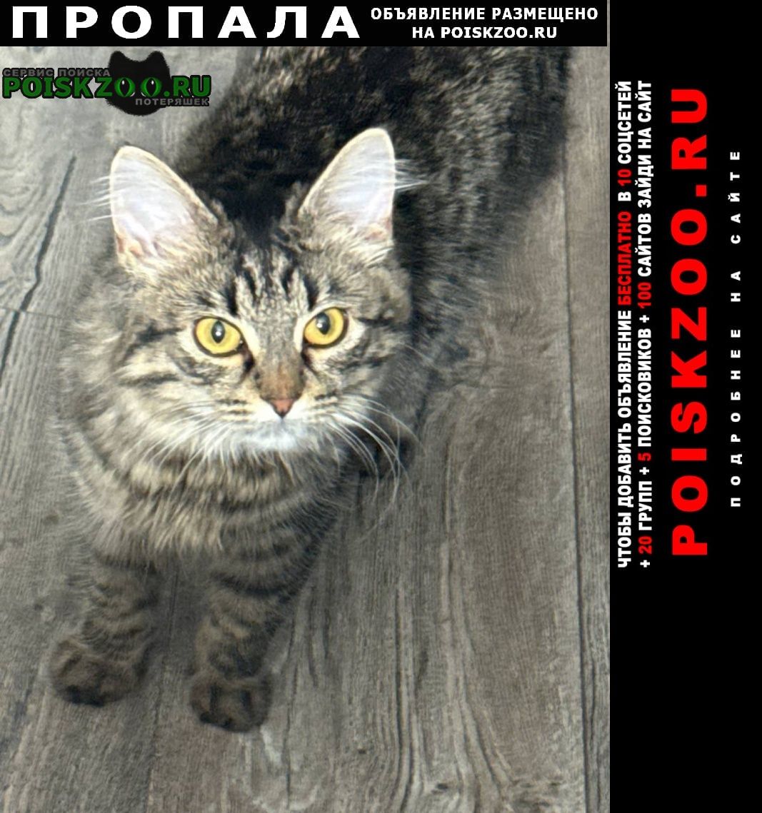 ���� ������� ����� �������-��������