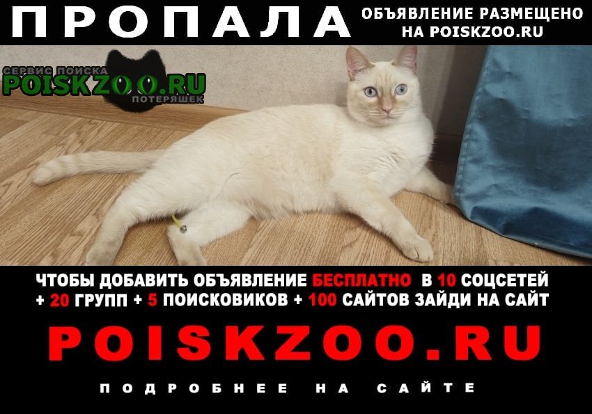 ���� �������� ����� ������ ��� ������ ������