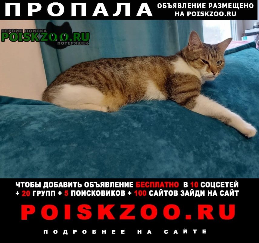 ���� ������ ��� �����