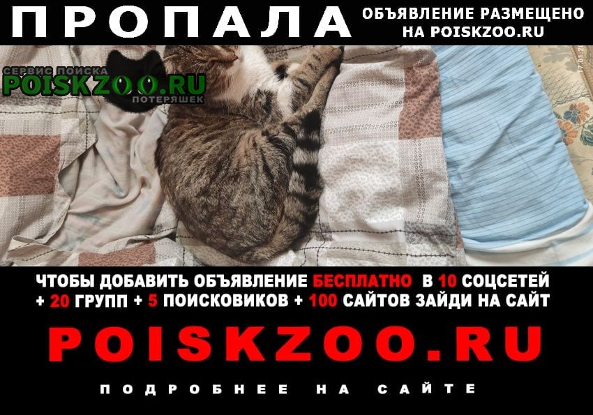 ���� ������ ��� ��. ����