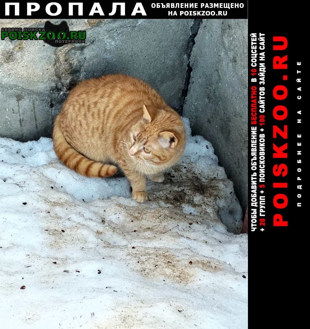 ���� ������ ��� ����� �����