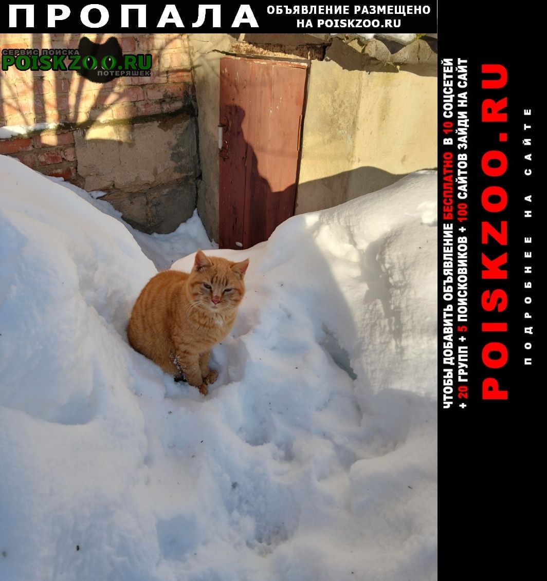 ���� ������ ���