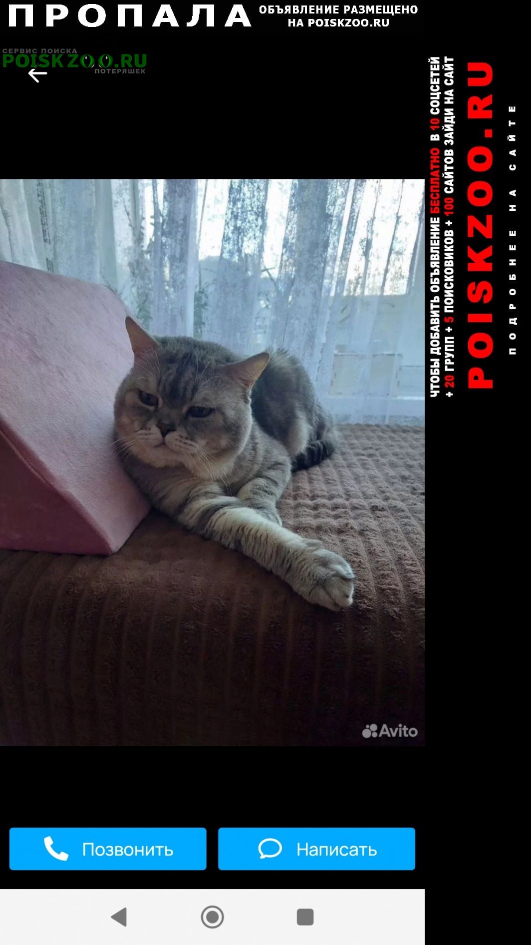 ���� ������ ������� 1���