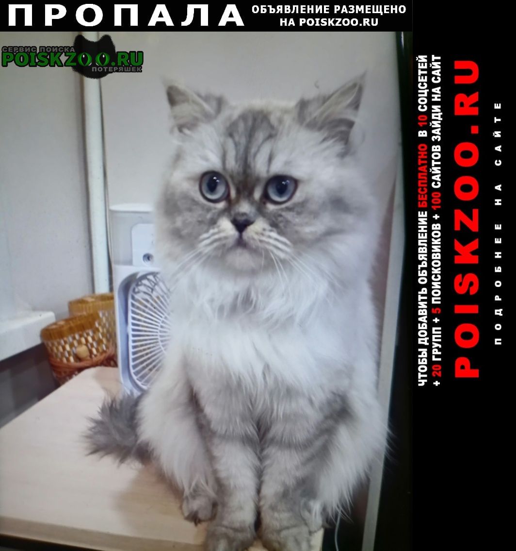 ���� ������� �����.