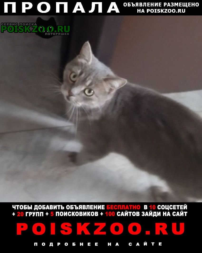 ���� �������� ����� ������� ��� �����