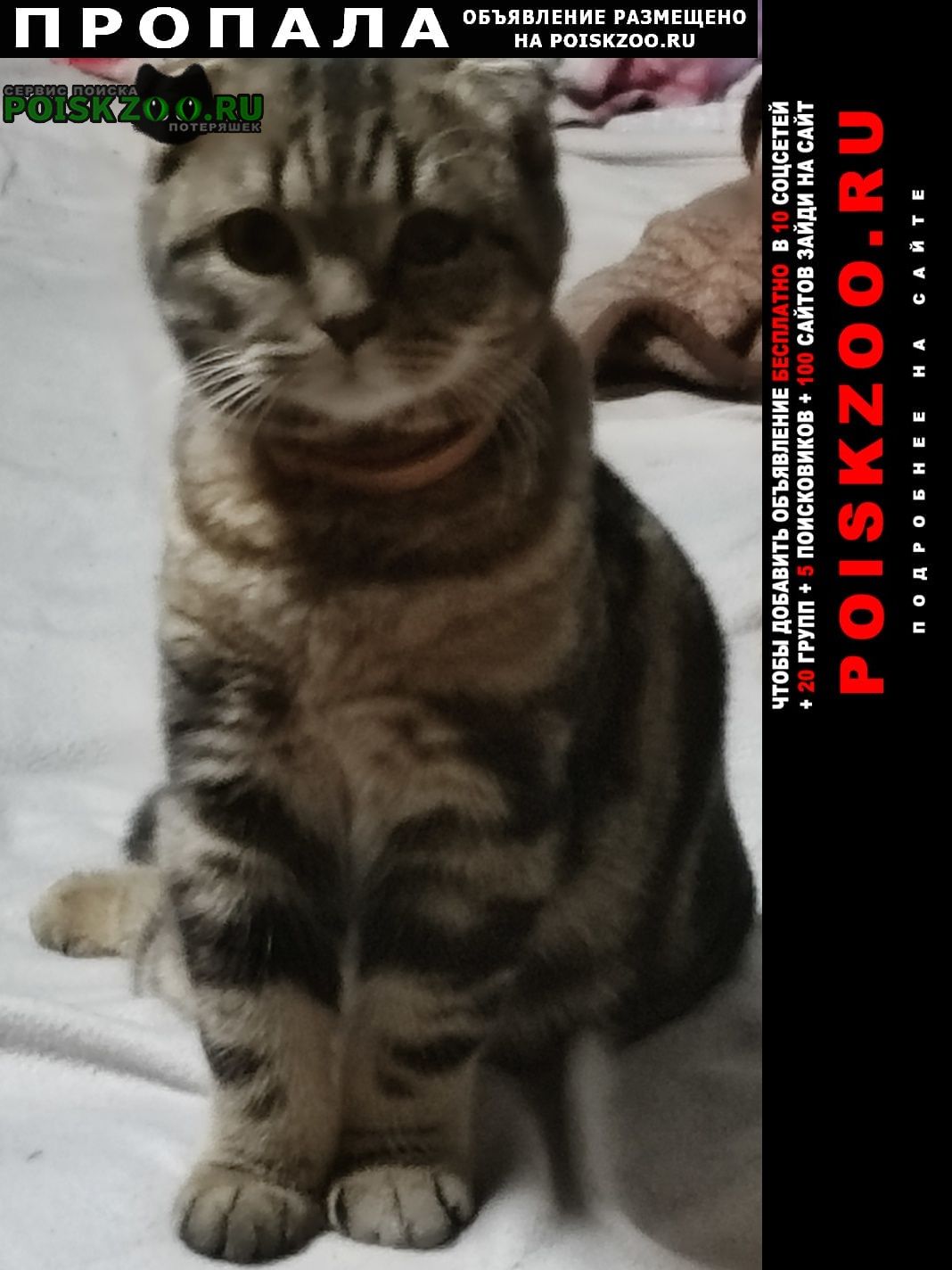 ���� �������� ����� ������� ��������� ����� ���