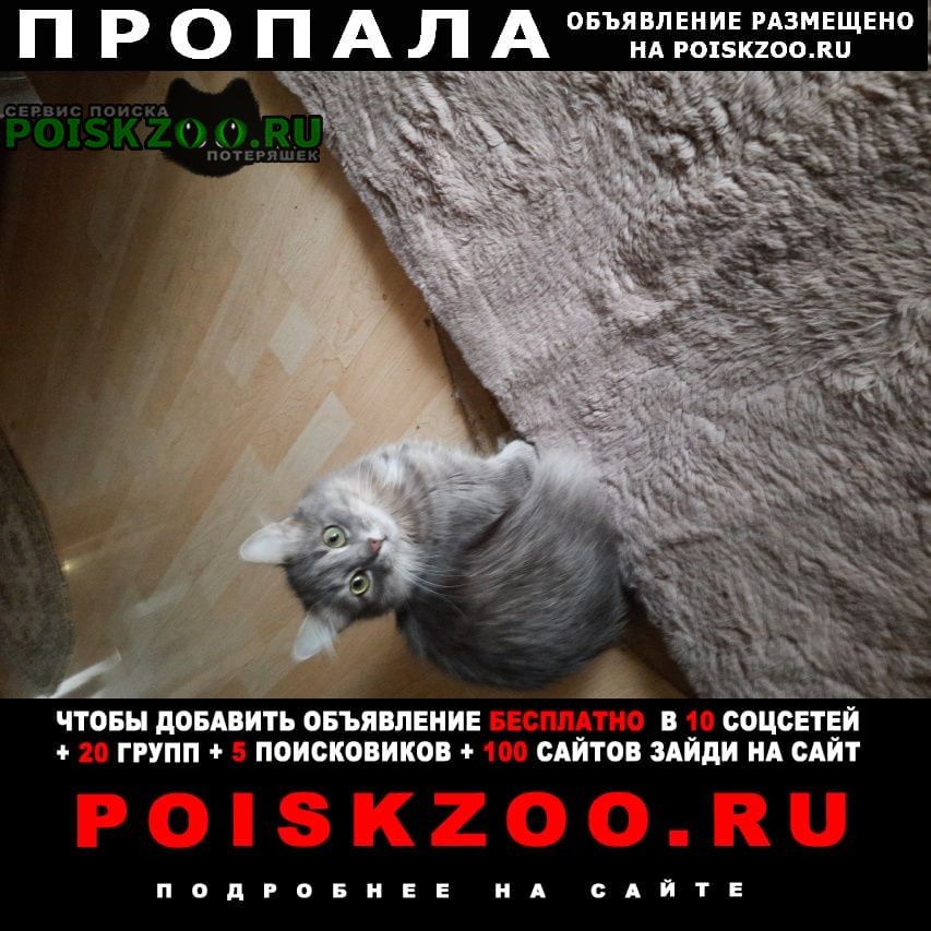 ���� ������� ����� ��������� �������������� ����������