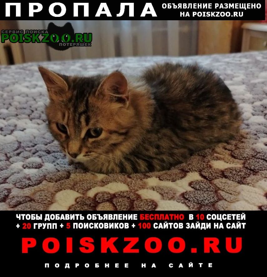 ���� ������� ����� ������� � ������� ��������� ��� ����