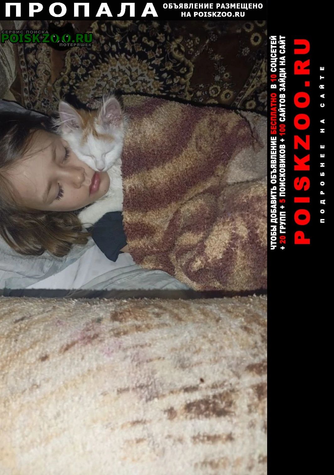 ���� ������ ��� �������