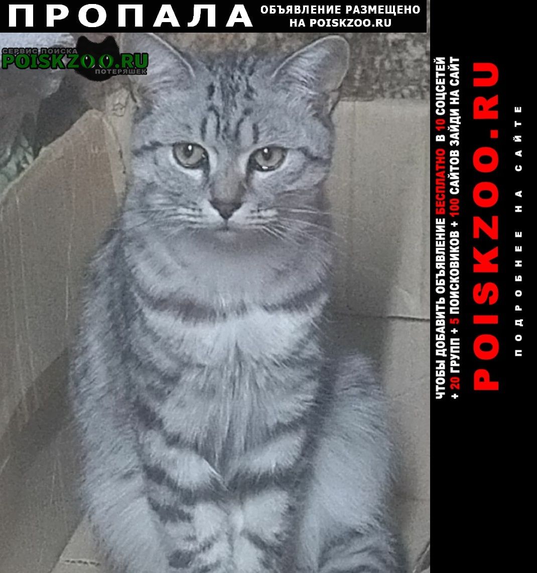 ���� ������ ��� 1 ���