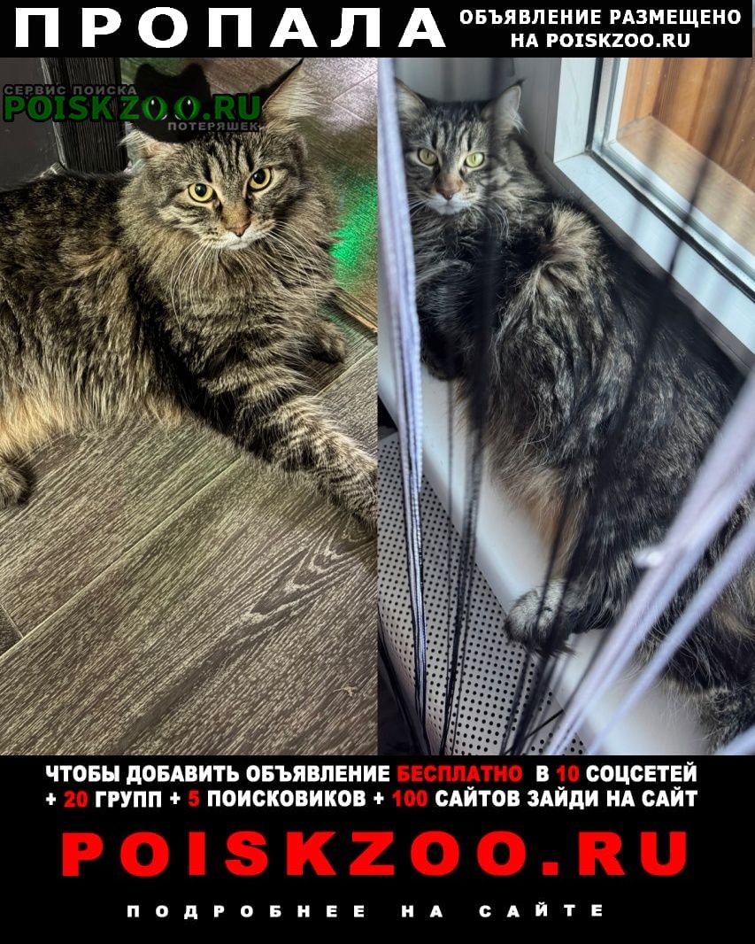 ���� ������� �����