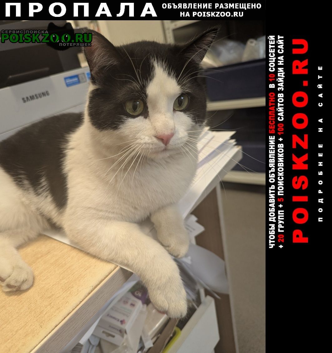 ���� ������ ��� ������� ������� �����