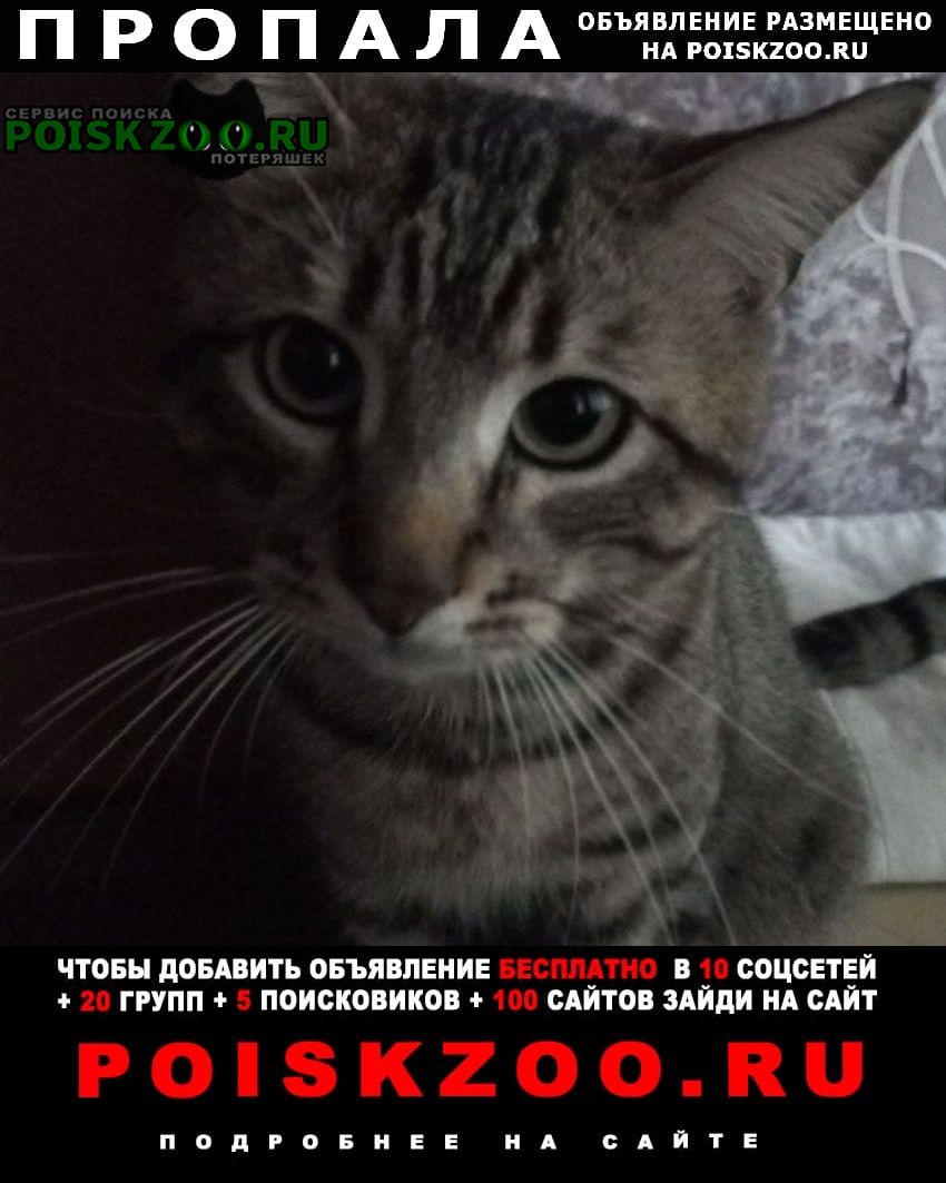 ���� ������ ���