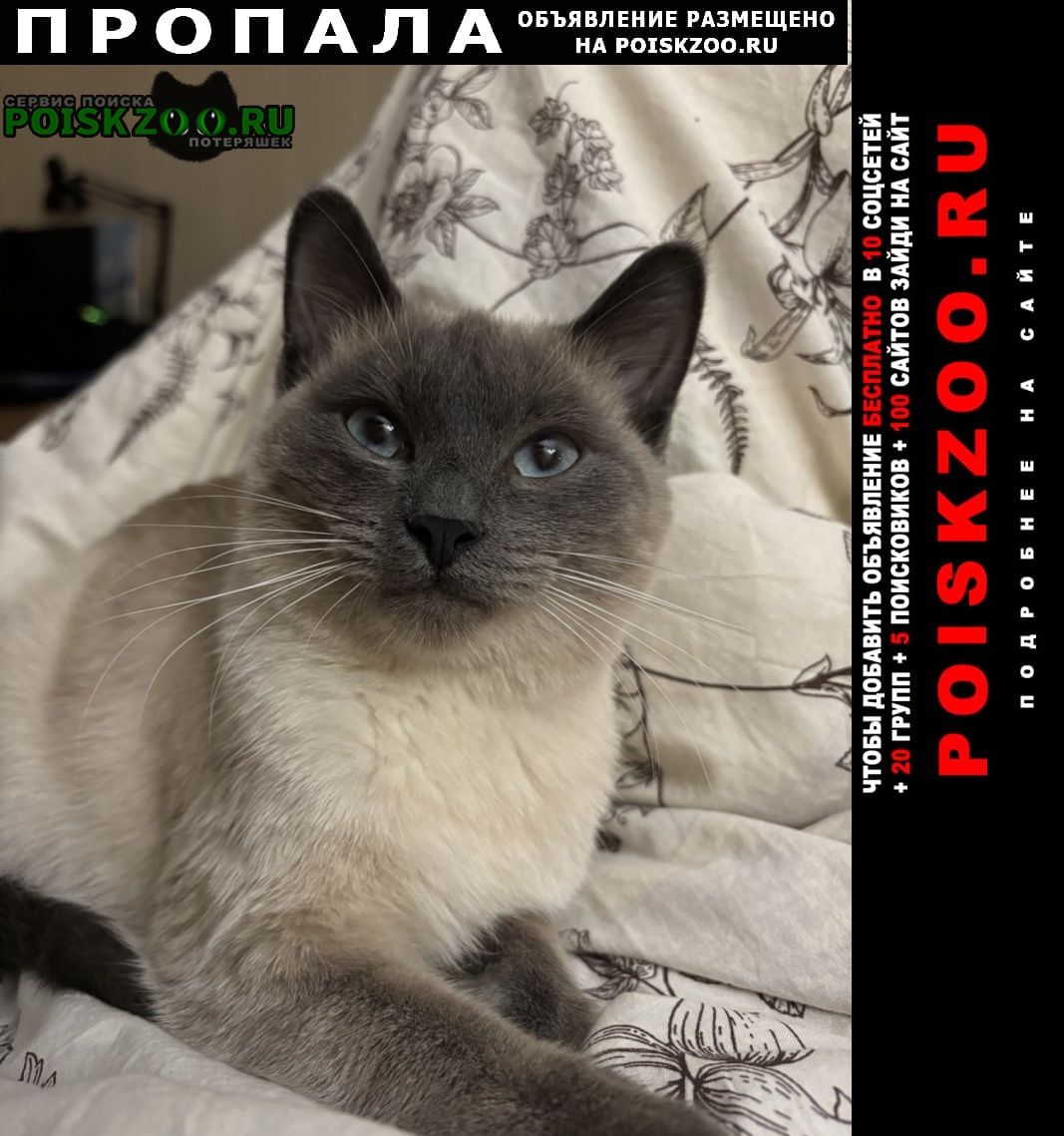 ���� ������� ����� ������� ����� 1 ���