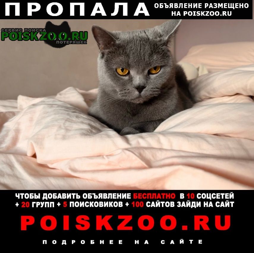 ���� ������� �����, �������������� �� 5�