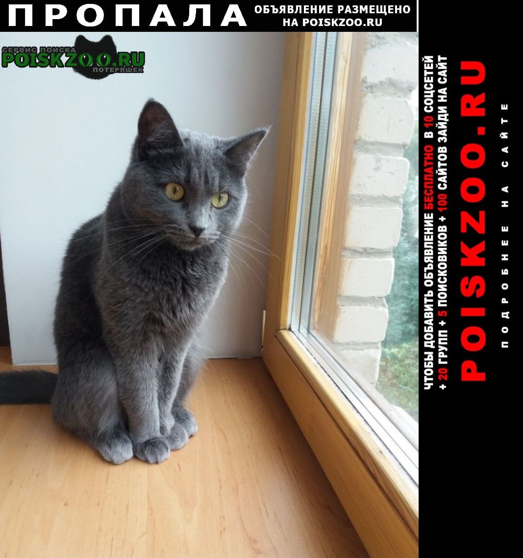 ���� �������� ����� ������� �����