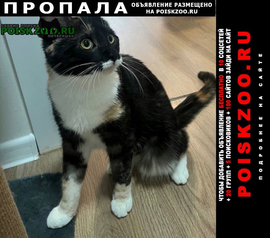 ���� ������� ����� �������� �����