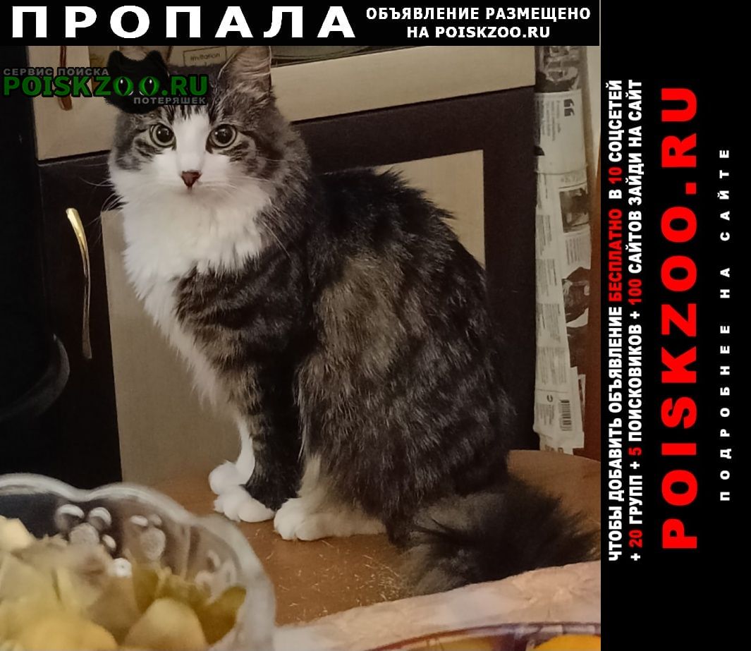 ���� ������� ����� ������� �����, �������