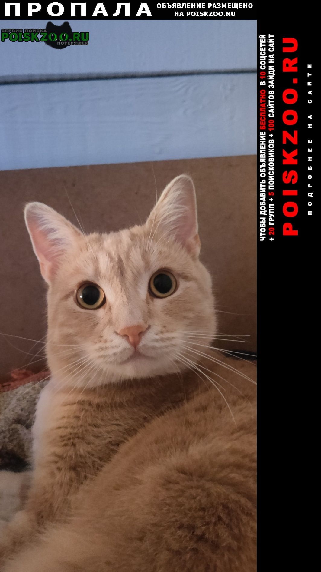 ���� ������ ���