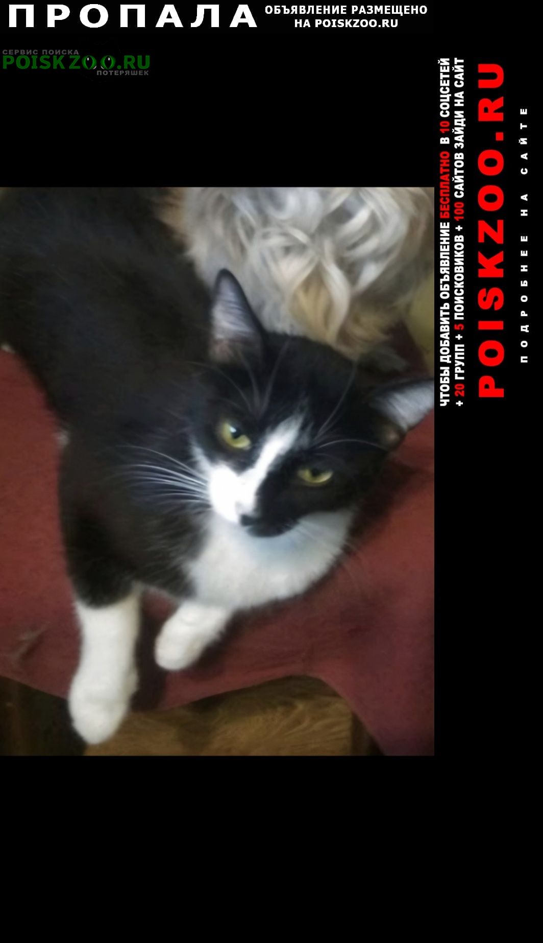 ���� ������� ����� ��� ������, ���� �����