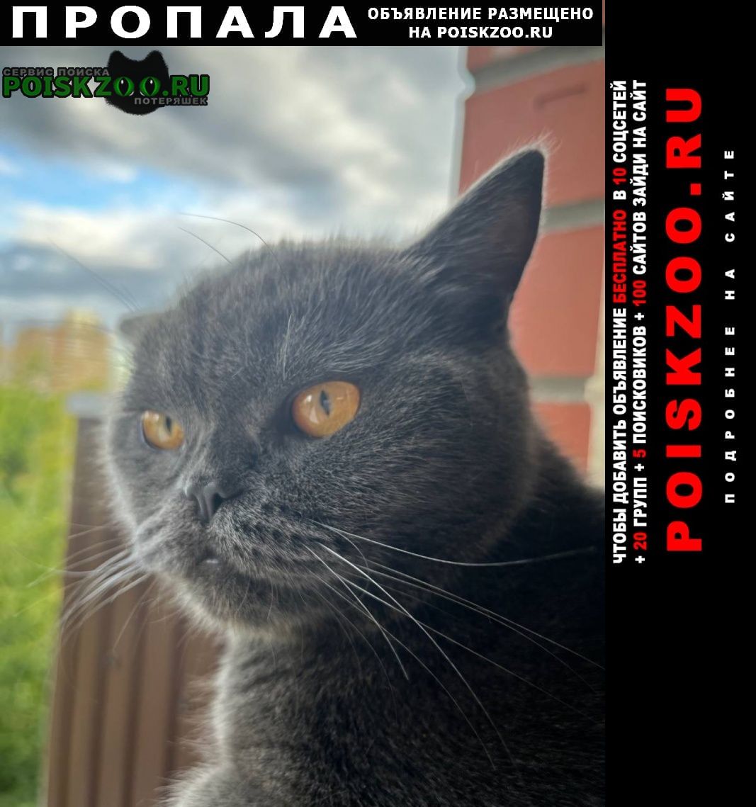 ���� ������� �����